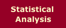 survey consultancy and analysis